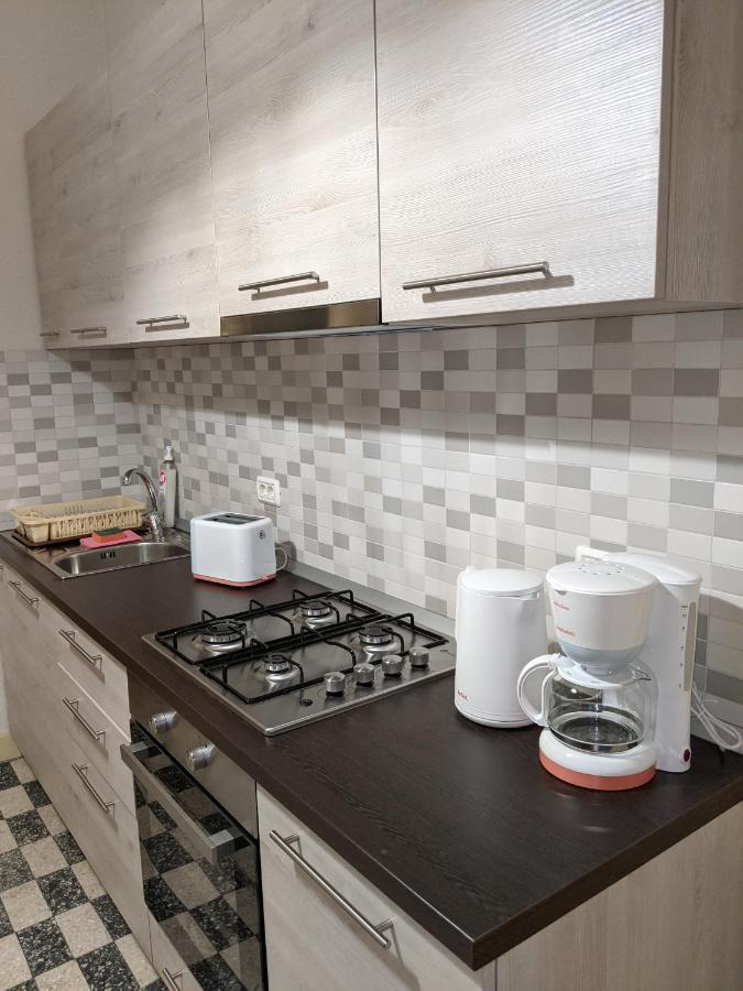 Cristian Apartment Near Old Town Timisoara Exterior photo