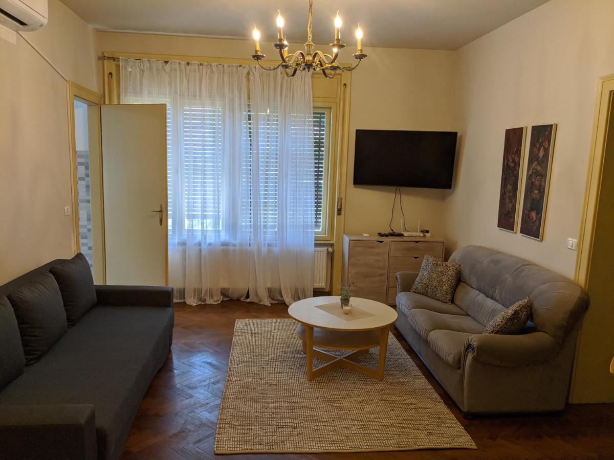 Cristian Apartment Near Old Town Timisoara Exterior photo